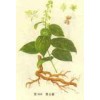供應(yīng)雷公藤甲素，雷公藤紅素，雷公藤內(nèi)酯酮，雷公藤內(nèi)酯甲
