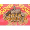 優質原生態野生血芝，【熱銷】南寧市好用的野生血靈芝