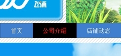 淘寶店鋪導(dǎo)航CSS代碼使用修改技巧