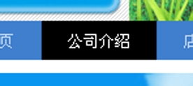 淘寶店鋪導(dǎo)航CSS代碼使用修改技巧