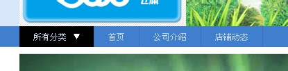 淘寶店鋪導(dǎo)航CSS代碼使用修改技巧