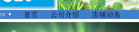 淘寶店鋪導(dǎo)航CSS代碼使用修改技巧