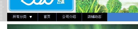 淘寶店鋪導(dǎo)航CSS代碼使用修改技巧
