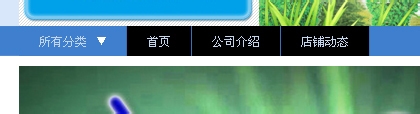 淘寶店鋪導(dǎo)航CSS代碼使用修改技巧