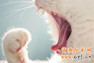 淘寶開店不刷單怎么有高轉(zhuǎn)化?