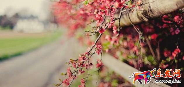 淘寶經(jīng)驗分享