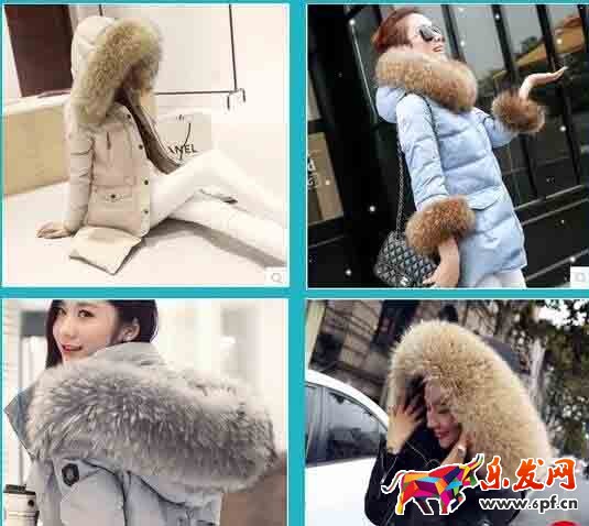 高價(jià)爆款模式