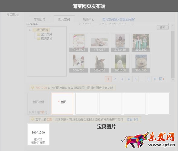 圖片護盾