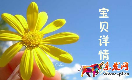 寶貝詳情頁(yè)