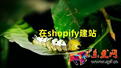 在shopify建站需要多少錢?費(fèi)用成本高嗎?