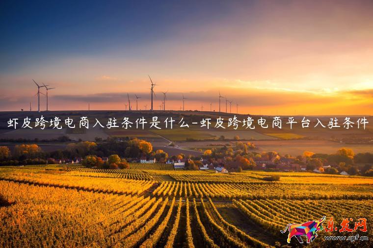 蝦皮跨境電商入駐條件是什么-蝦皮跨境電商平臺(tái)入駐條件