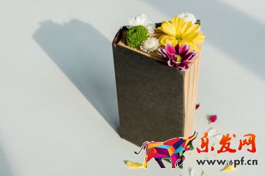 小紅書入駐費(fèi)用是多少(圖4)